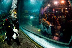 School-Trip-Blue-Planet-Aquarium